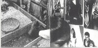 Image of sheet 19840620 photo 37: booklet Bob Ostertag